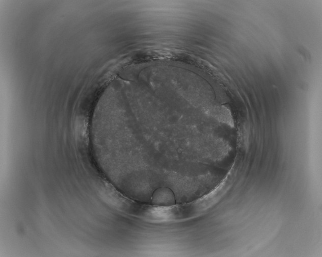 X0000111440178200908031400