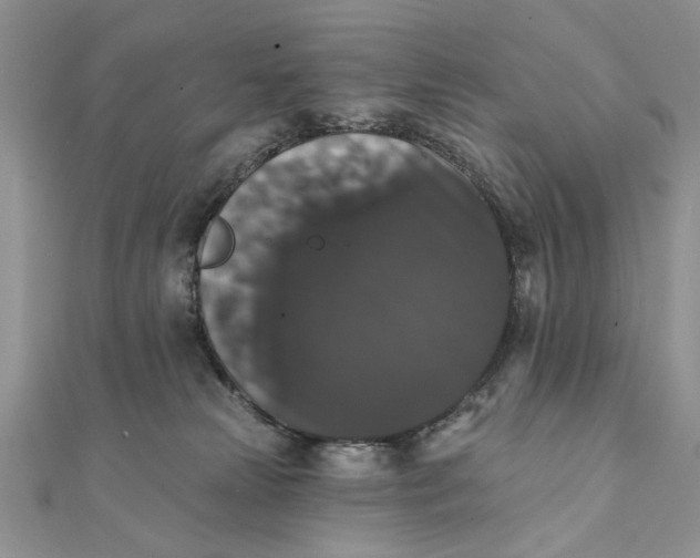 X0000111440181200908031400