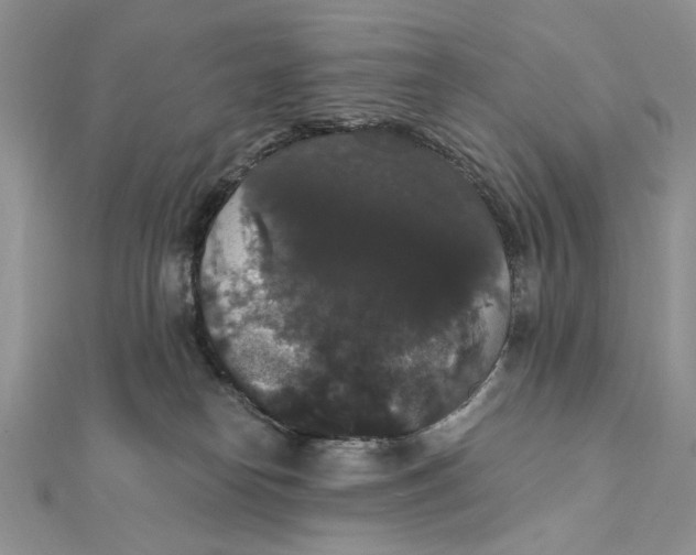 X0000111440182200908031400