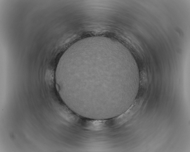 X0000111440184200908031400