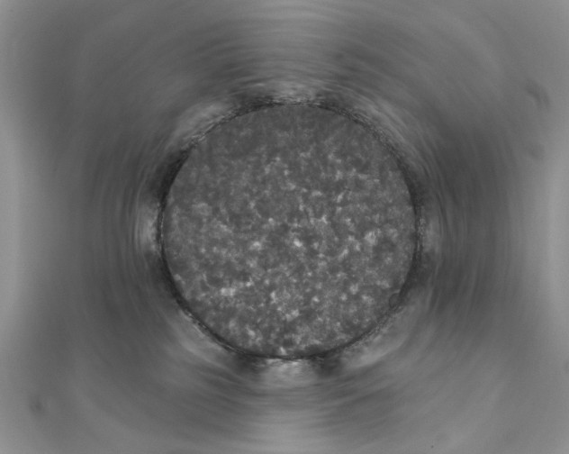 X0000111440185200908031400