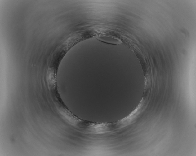 X0000111440186200908031400