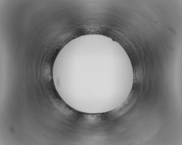 X0000111440187200908031400