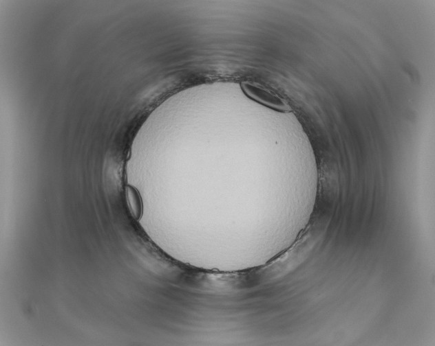 X0000111440188200908031400