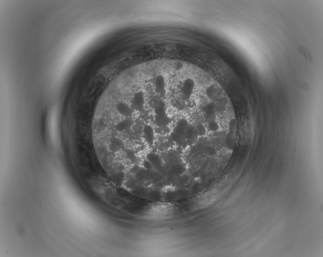 X0000111440189200908031400