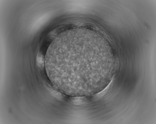 X0000111440191200908031400