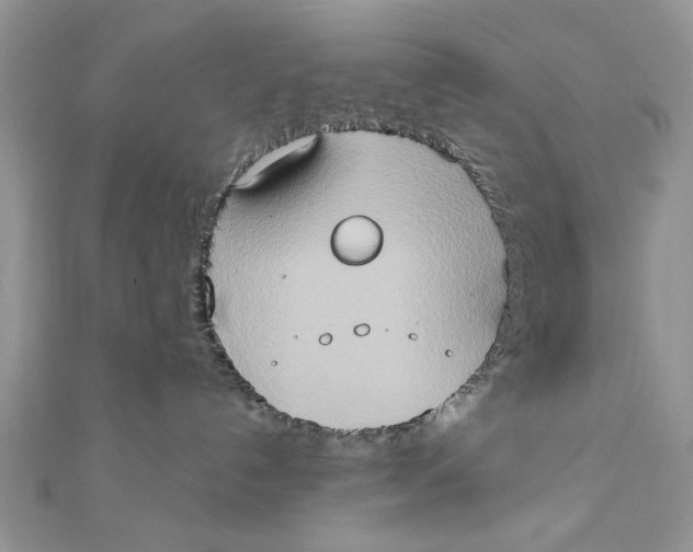 X0000111440192200908031400