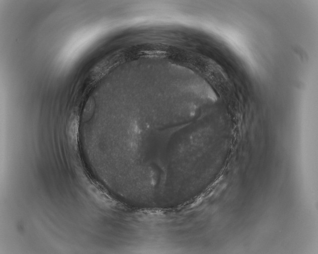 X0000111440194200908031359