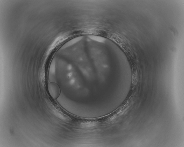 X0000111440198200908031359