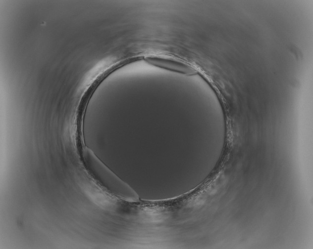 X0000111440199200908031359