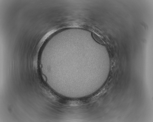 X0000111440200200908031359