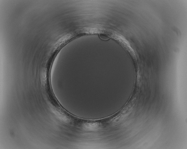 X0000111440202200908031359