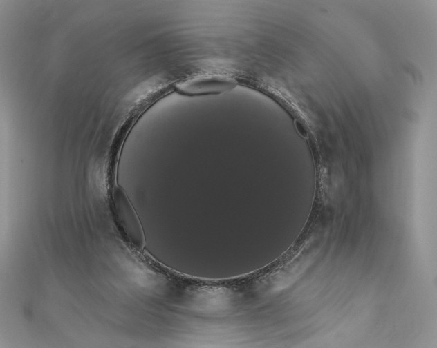 X0000111440203200908031359