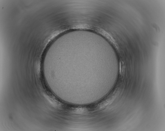 X0000111440204200908031359