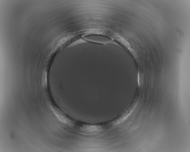 X0000111440205200908031359