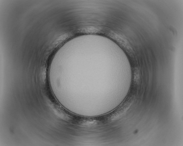 X0000111440206200908031359