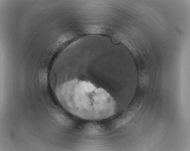 X0000111440207200908031359