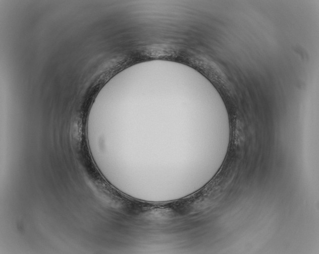 X0000111440210200908031359