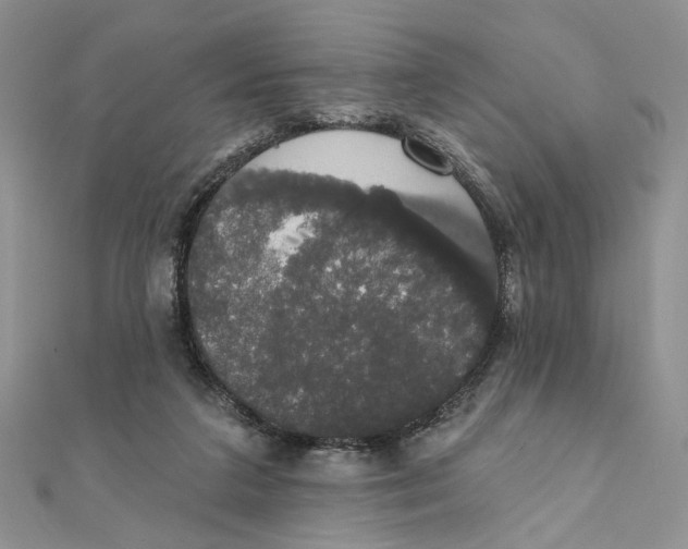 X0000111440211200908031359