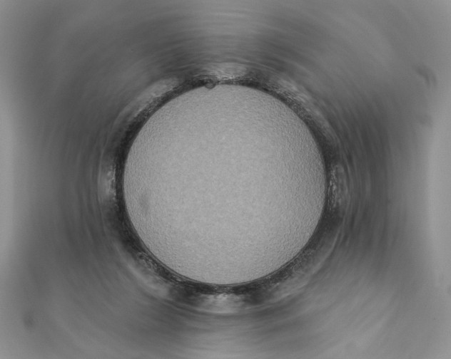 X0000111440212200908031359