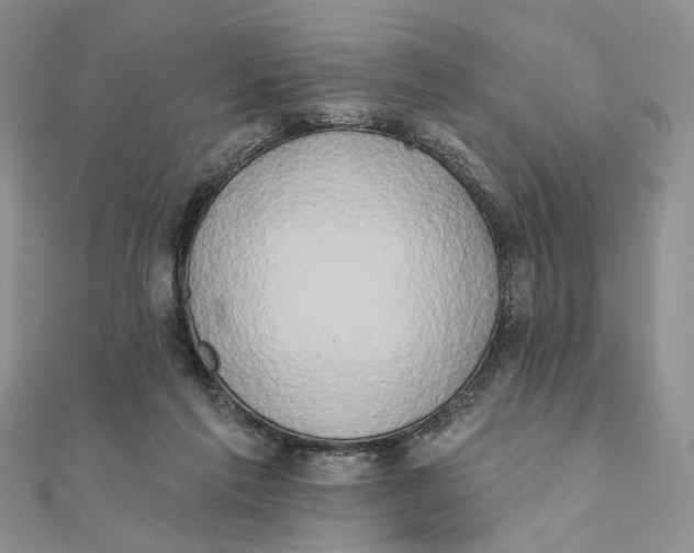 X0000111440213200908031359