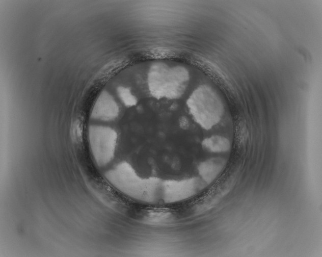 X0000111440214200908031359