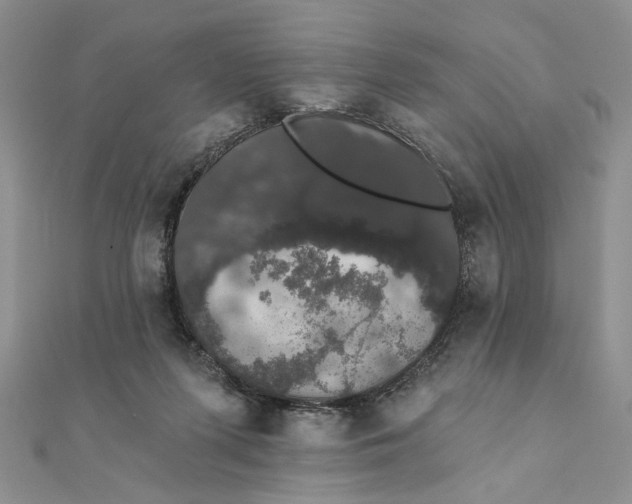 X0000111440215200908031359