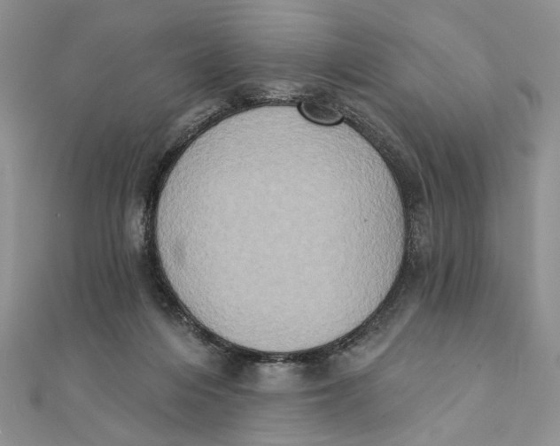 X0000111440216200908031359