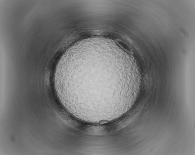 X0000111440217200908031359