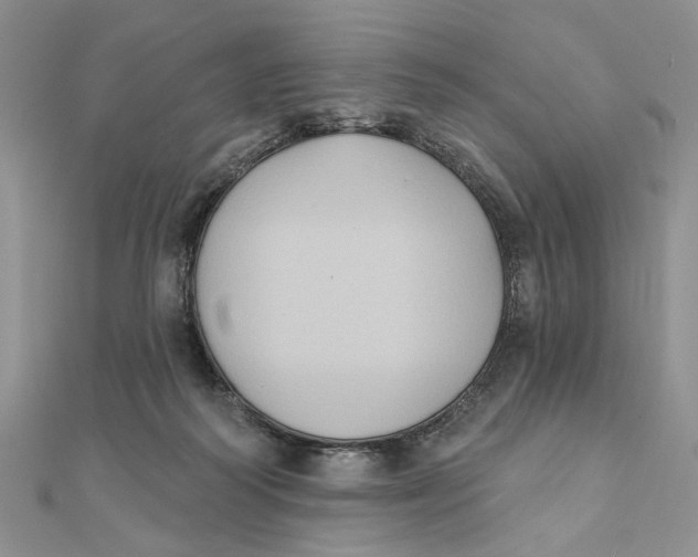 X0000111440218200908031359