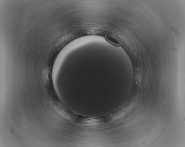 X0000111440219200908031359