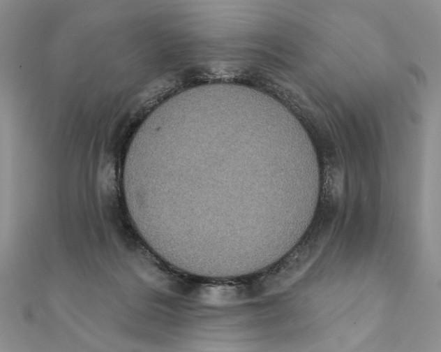 X0000111440220200908031359