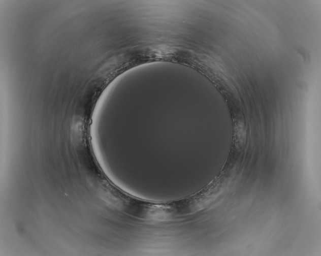 X0000111440222200908031359