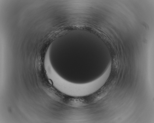 X0000111440223200908031359