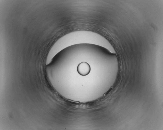 X0000111440225200908031359