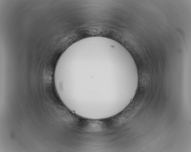 X0000111440226200908031359