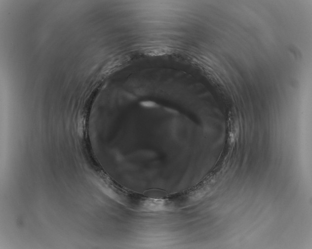 X0000111440227200908031359