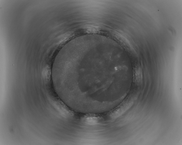 X0000111440228200908031359