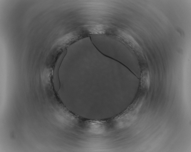 X0000111440229200908031359