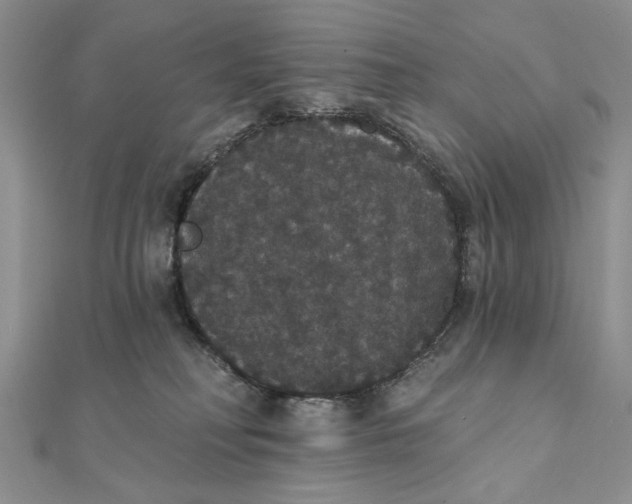 X0000111440230200908031359