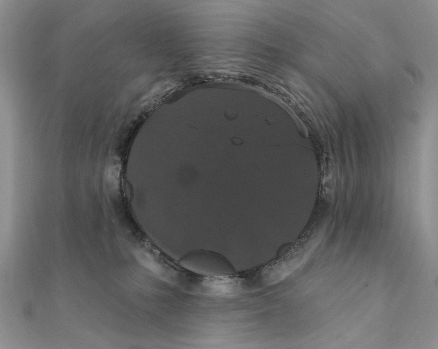 X0000111440231200908031359