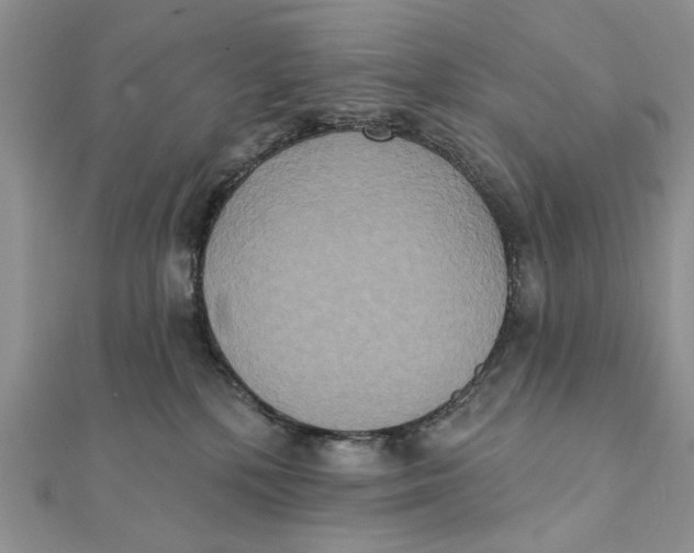 X0000111440232200908031359