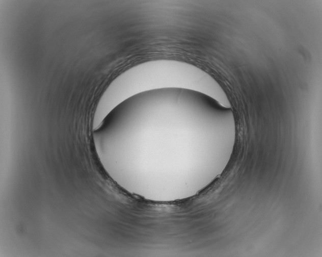 X0000111440233200908031359