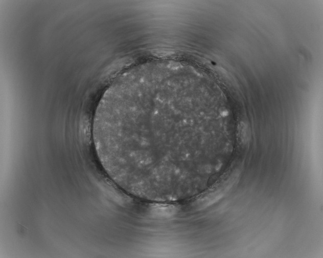 X0000111440234200908031359