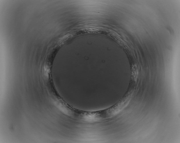 X0000111440235200908031359