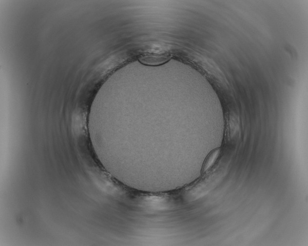 X0000111440236200908031359