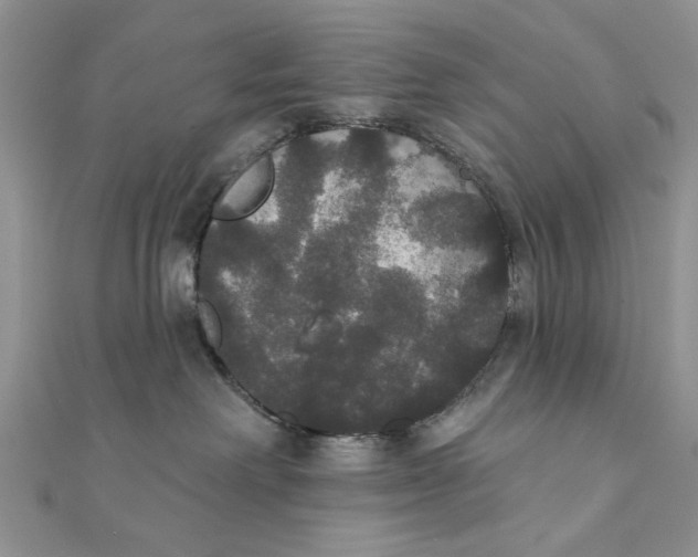 X0000111440238200908031359