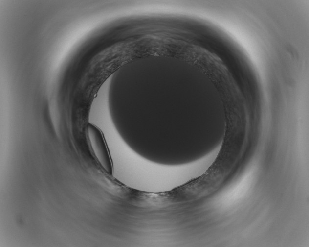 X0000111440239200908031359