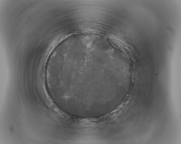 X0000111440241200908031358