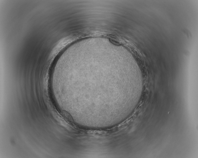 X0000111440242200908031358